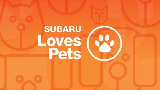 Subaru of Grand Blanc in Grand Blanc MI