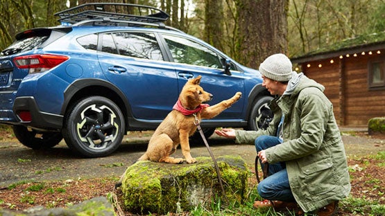 Subaru of Grand Blanc in Grand Blanc MI